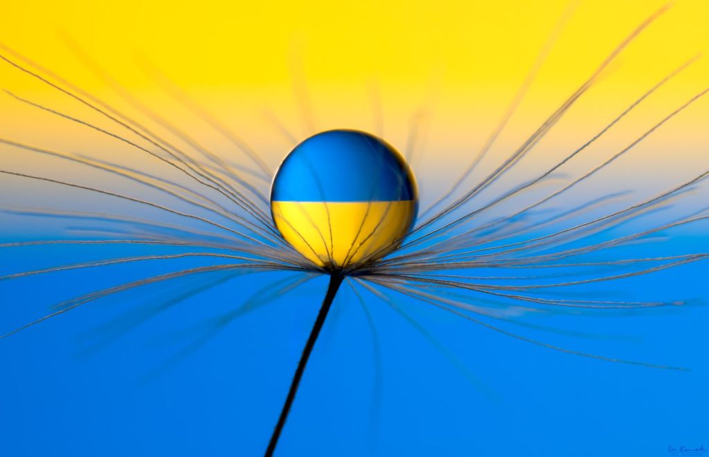 Україна / Фото з відкритих джерел