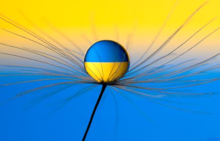 Україна / Фото з відкритих джерел