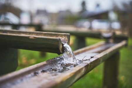 Водоканали ввели окрему плату за полив: кому доведеться доплачувати влітку Полив / © pexels.com