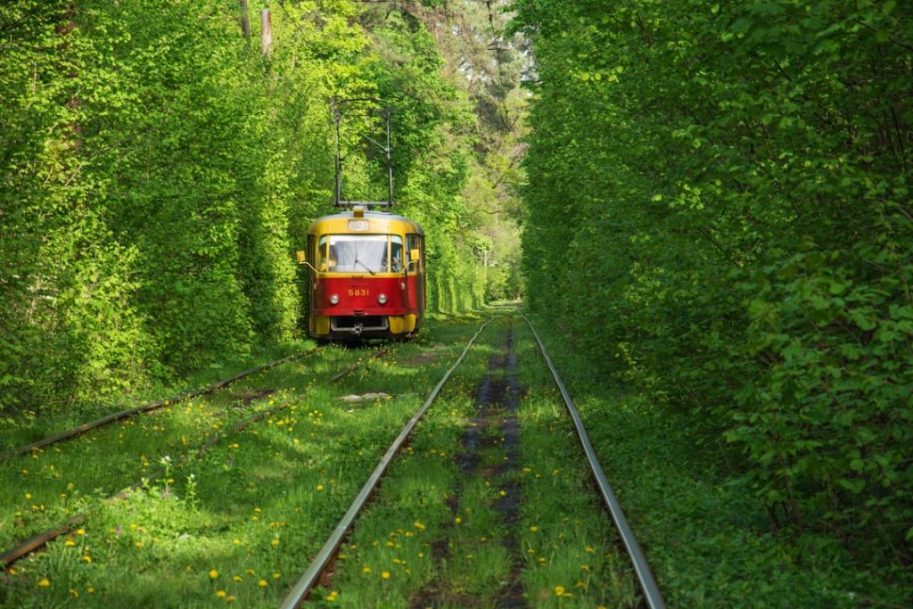 Проїзд / © unsplash.com