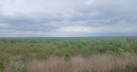 Каховське водосховище / Фото з відкритих джерел