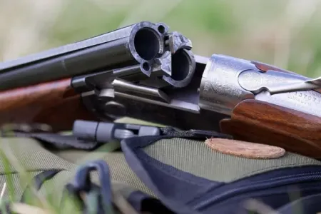 Франція / Фото з відкритих джерел