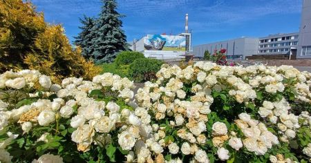Чорнобиль потонув у квітах: який вигляд має АЕС зараз Чорнобиль / Фото з відкритих джерел