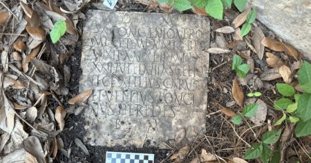 Археологія / Фото з відкритих джерел