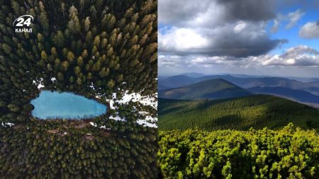 Карпати / Фото з відкритих джерел