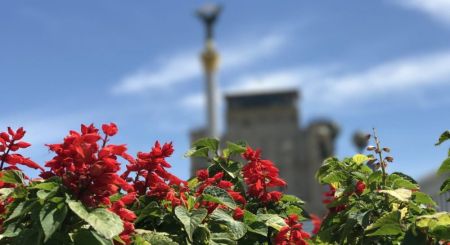 Київ накриє різке похолодання: коли температура обвалиться на 10 градусів Київ / Фото з відкритих джерел