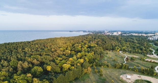 Скарб пролежав у лісі 3000 років: у Польщі знайшли рідкісний меч бронзової доби Польща / Фото з відкритих джерел