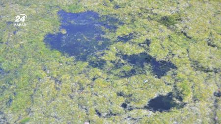 Водойми / Фото з відкритих джерел