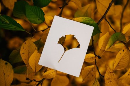 Валентин Фречка / © pexels.com