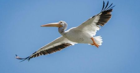 Каховське водосховище / Фото з відкритих джерел