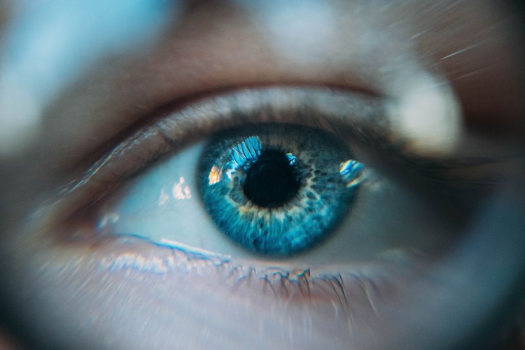 Блакитні очі / © unsplash.com