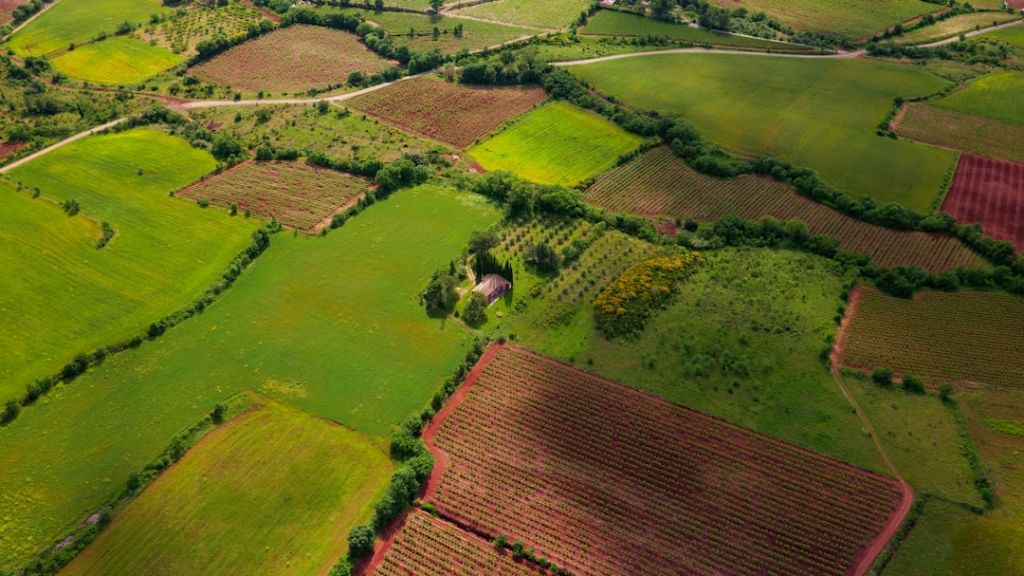 Продати успадковану землю без податків: у ДПС назвали дві обов’язкові умови Земля / © unsplash.com