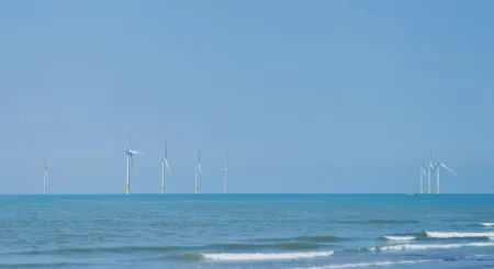 Вчені 8 років вивчали морське дно біля вітряків: відкриття стало повною несподіванкою Вітряки / Фото з відкритих джерел