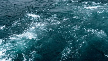 Морська вода / © pexels.com