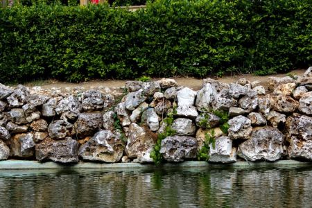 Сад / © pexels.com